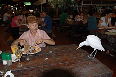 0762 Wildlife Habitat Port Douglas